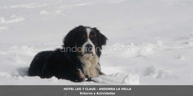 actividades2-hotel-les-7-claus.jpg